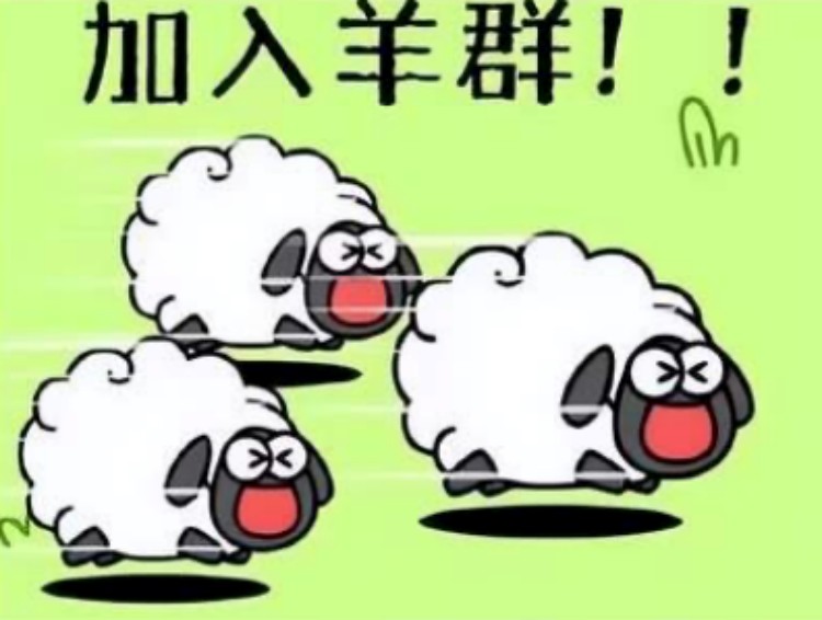 羊了個(gè)羊？成都新華四步帶你無限通關(guān)！